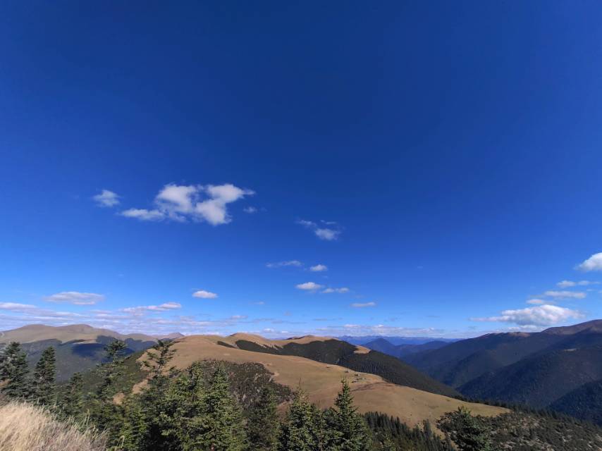 田大為